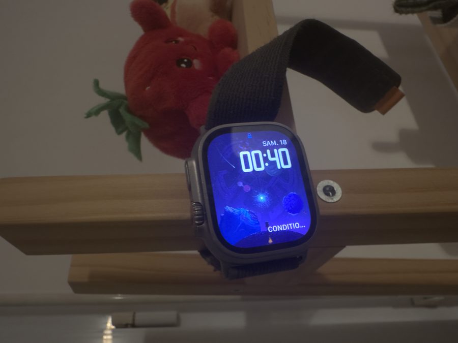 Training photo: the watch on a wooden surface beside a red plush strawberry